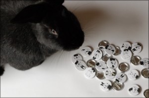 Freddie investigating a stockpile of Rona Green badges
