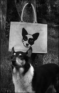 Limited edition 'Tiago' bag by Rona Green