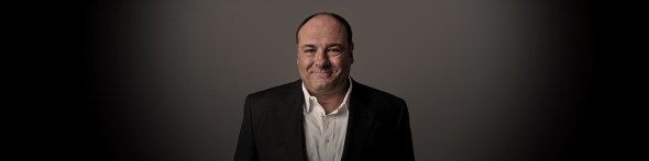 "There's no cure for life." - Tony Soprano