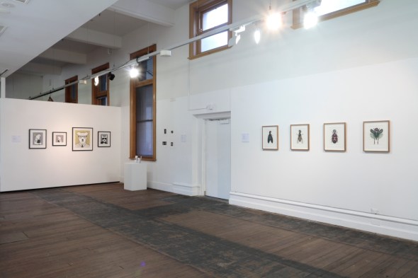 Near Neighbours exhibition view 4